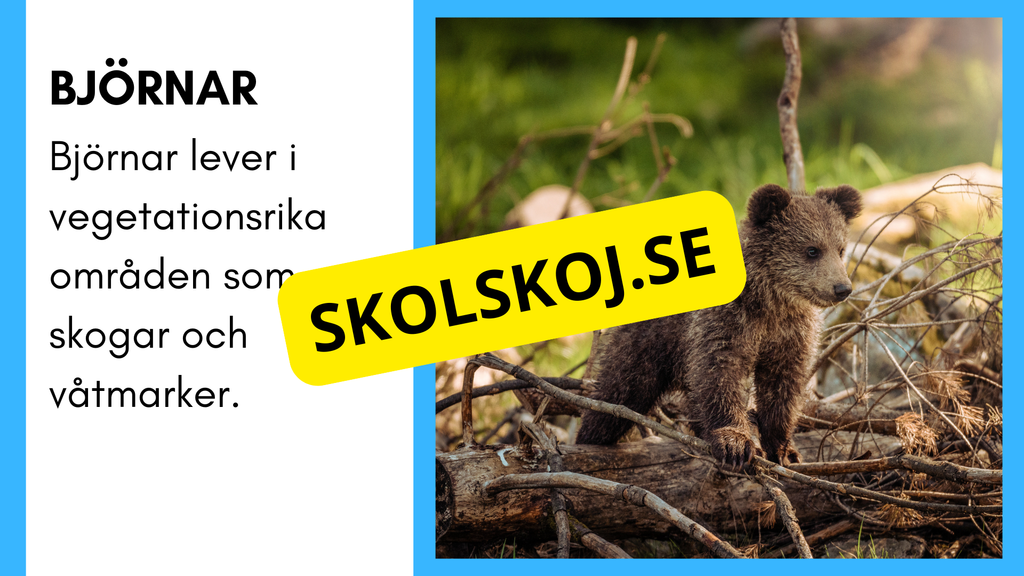 Enkla fakta om djurens livsmiljö