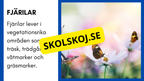 Enkla fakta om djurens livsmiljö