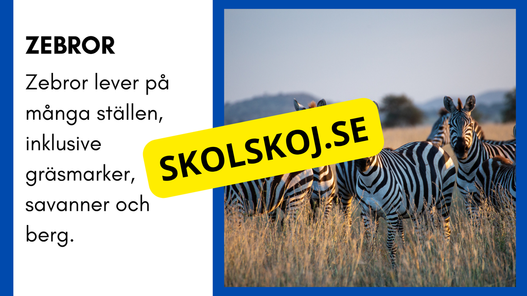 Enkla fakta om djurens livsmiljö