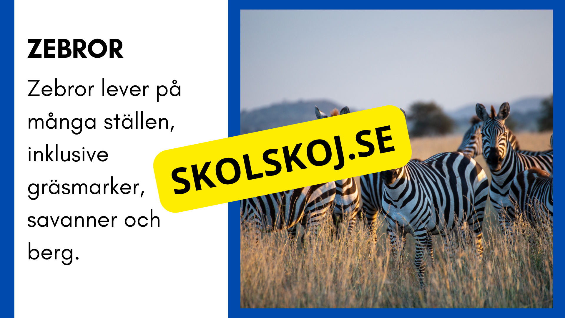 Enkla fakta om djurens livsmiljö