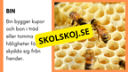 Enkla fakta om djurens livsmiljö