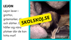 Enkla fakta om djurens livsmiljö