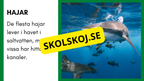 Enkla fakta om djurens livsmiljö