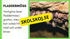 Enkla fakta om djurens livsmiljö