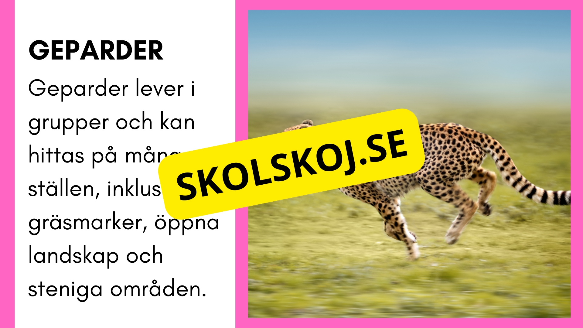 Enkla fakta om djurens livsmiljö