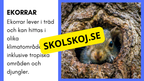 Enkla fakta om djurens livsmiljö