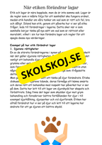 Etik och svåra val - Årskurs 4 - 6