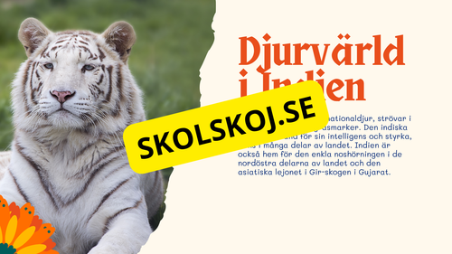 Fakta om Indien + frågor