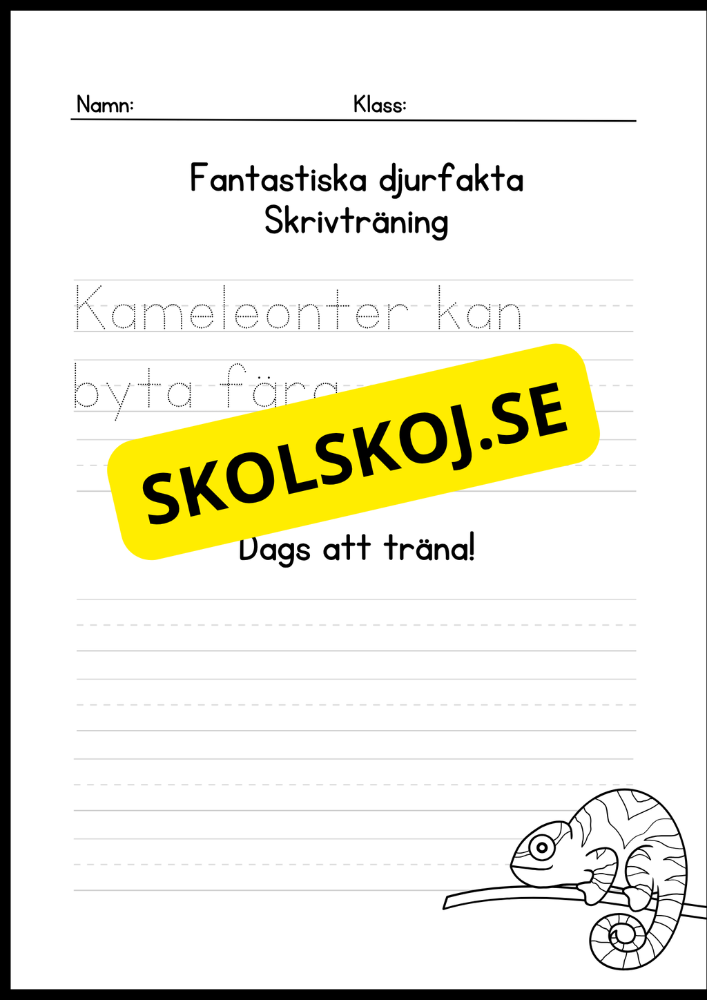 Fantastiska djurfakta - Skrivträning