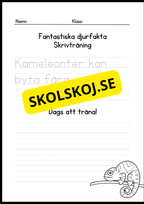 Fantastiska djurfakta - Skrivträning