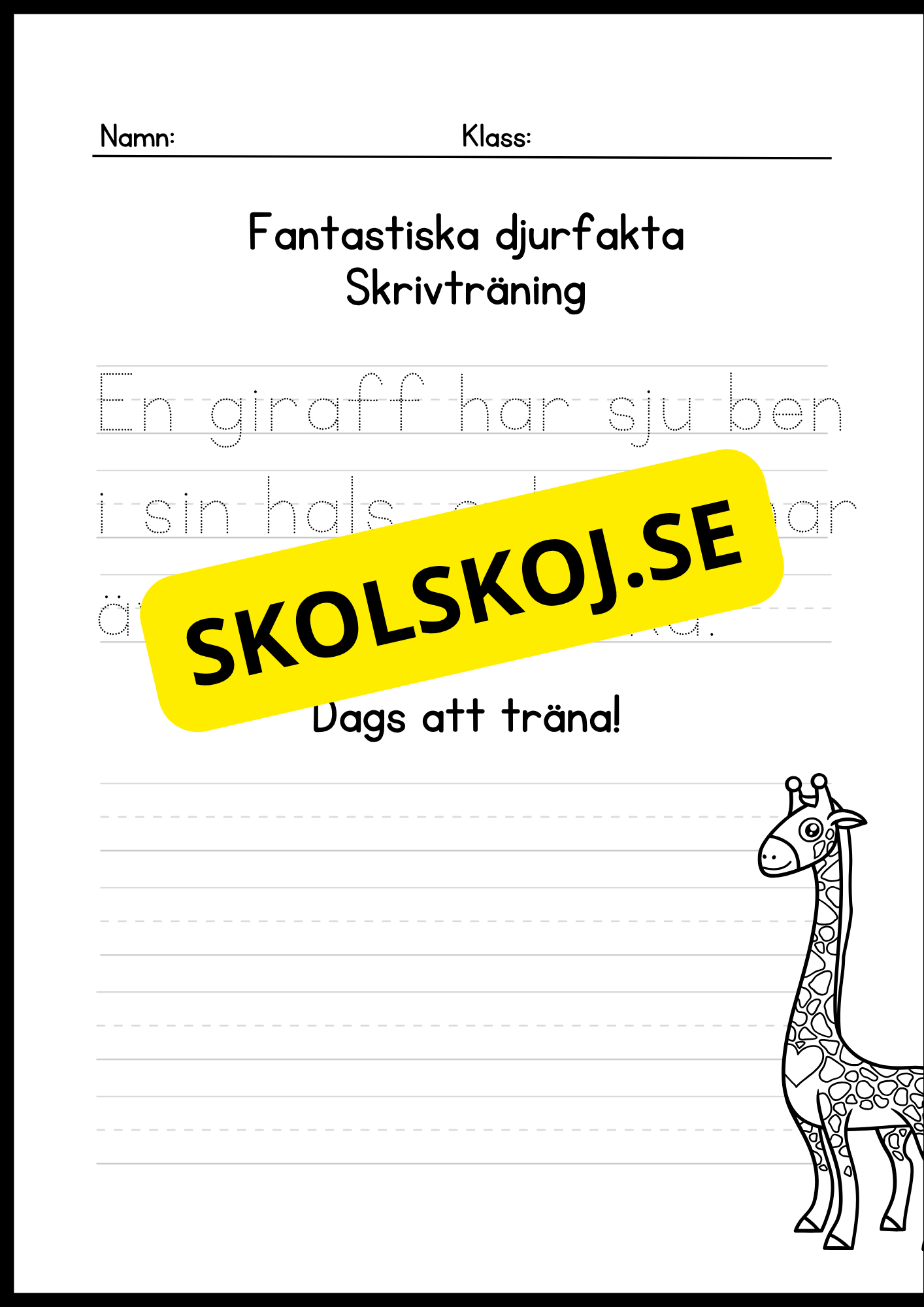 Fantastiska djurfakta - Skrivträning