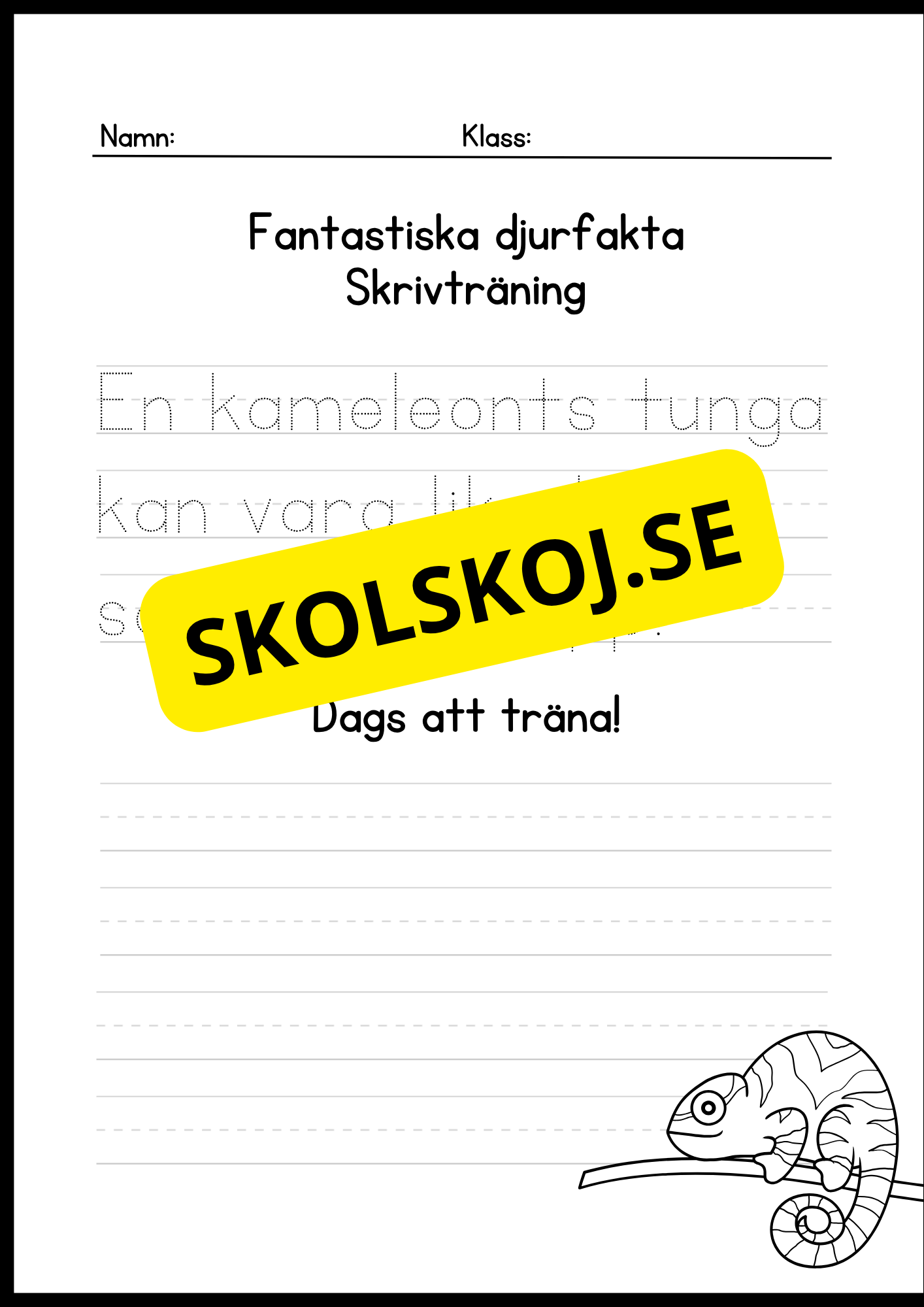 Fantastiska djurfakta - Skrivträning