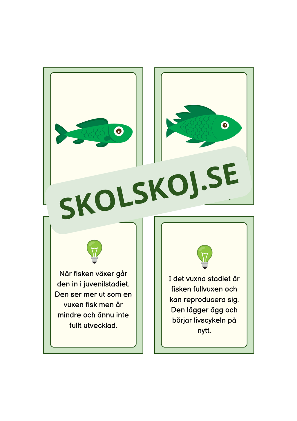 Fiskens livscykel och lite till