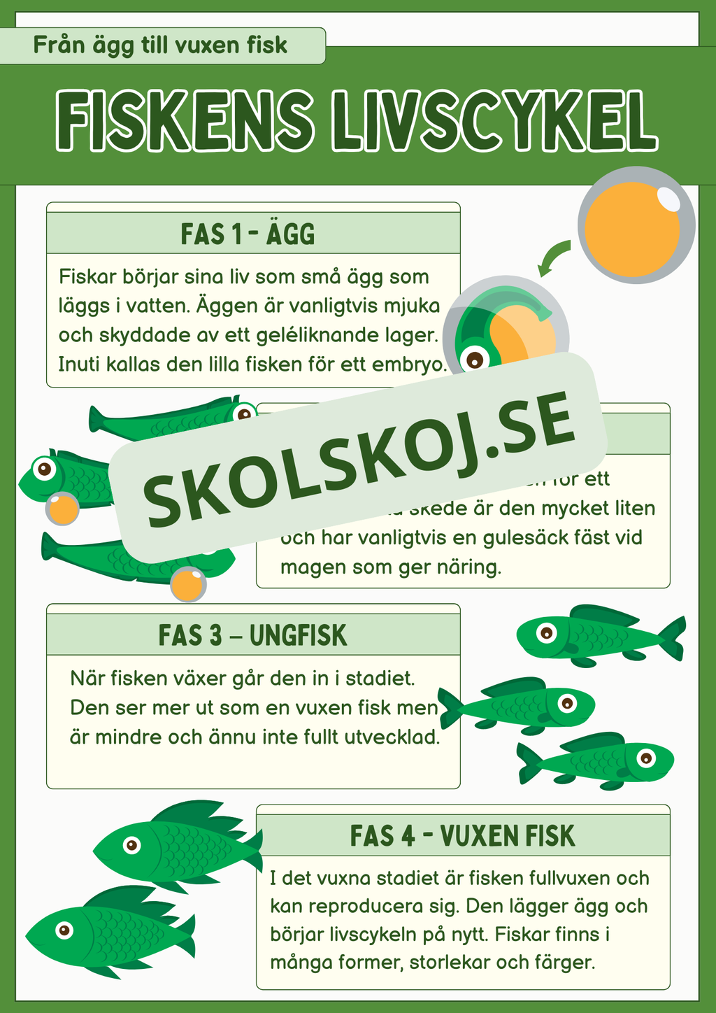 Fiskens livscykel och lite till