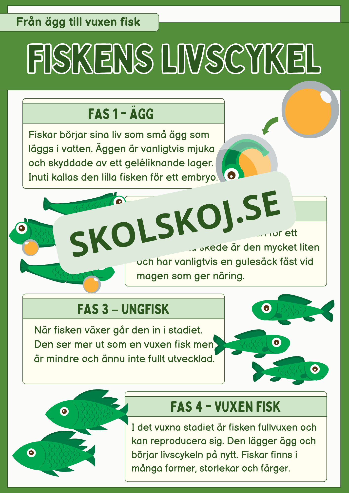 Fiskens livscykel och lite till