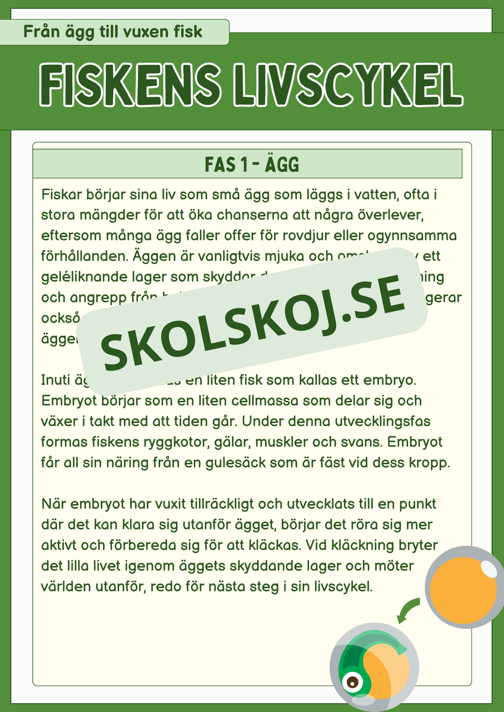Fiskens livscykel och lite till