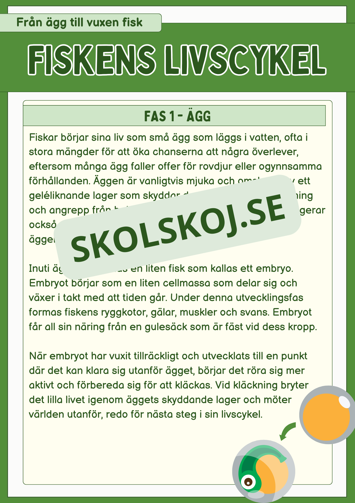 Fiskens livscykel och lite till