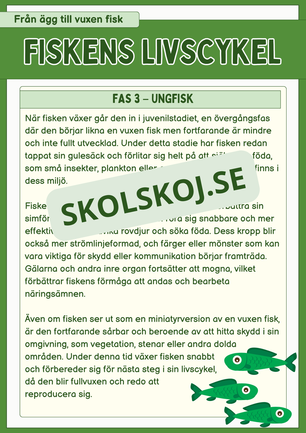 Fiskens livscykel och lite till