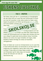Fiskens livscykel och lite till