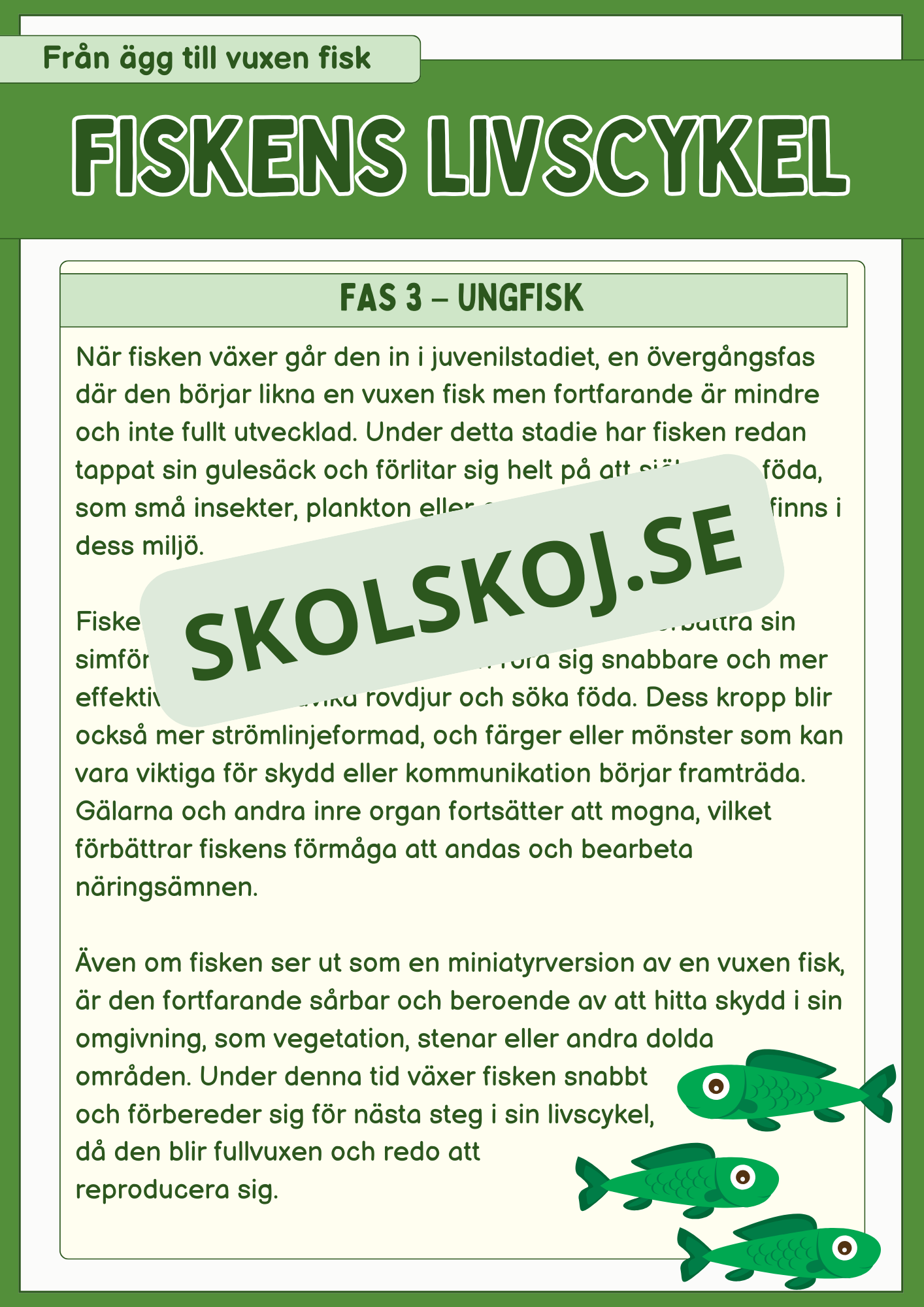 Fiskens livscykel och lite till