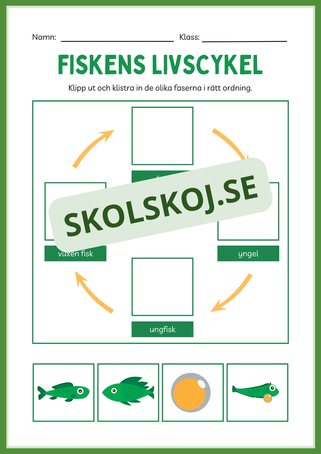 Fiskens livscykel och lite till