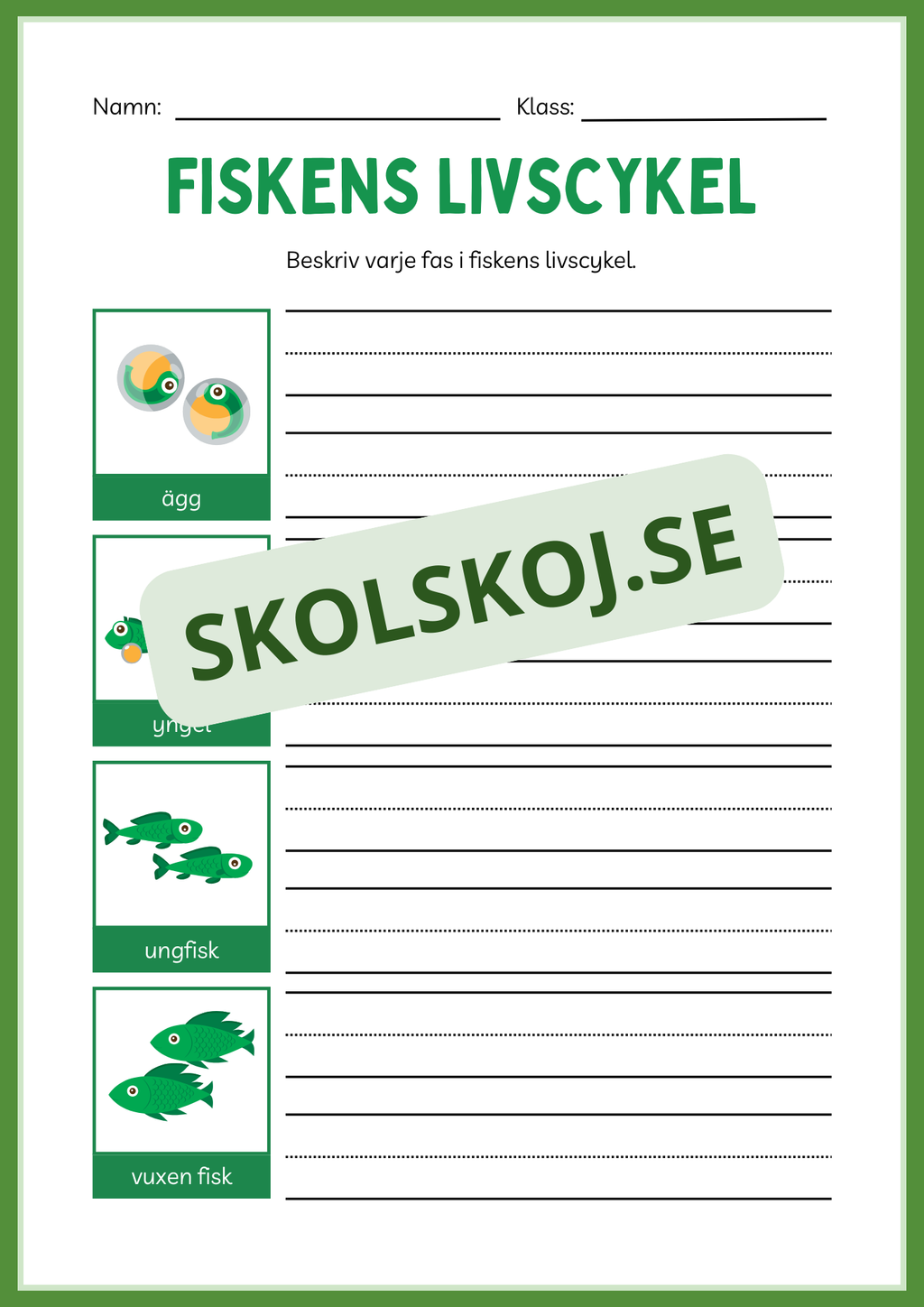Fiskens livscykel och lite till