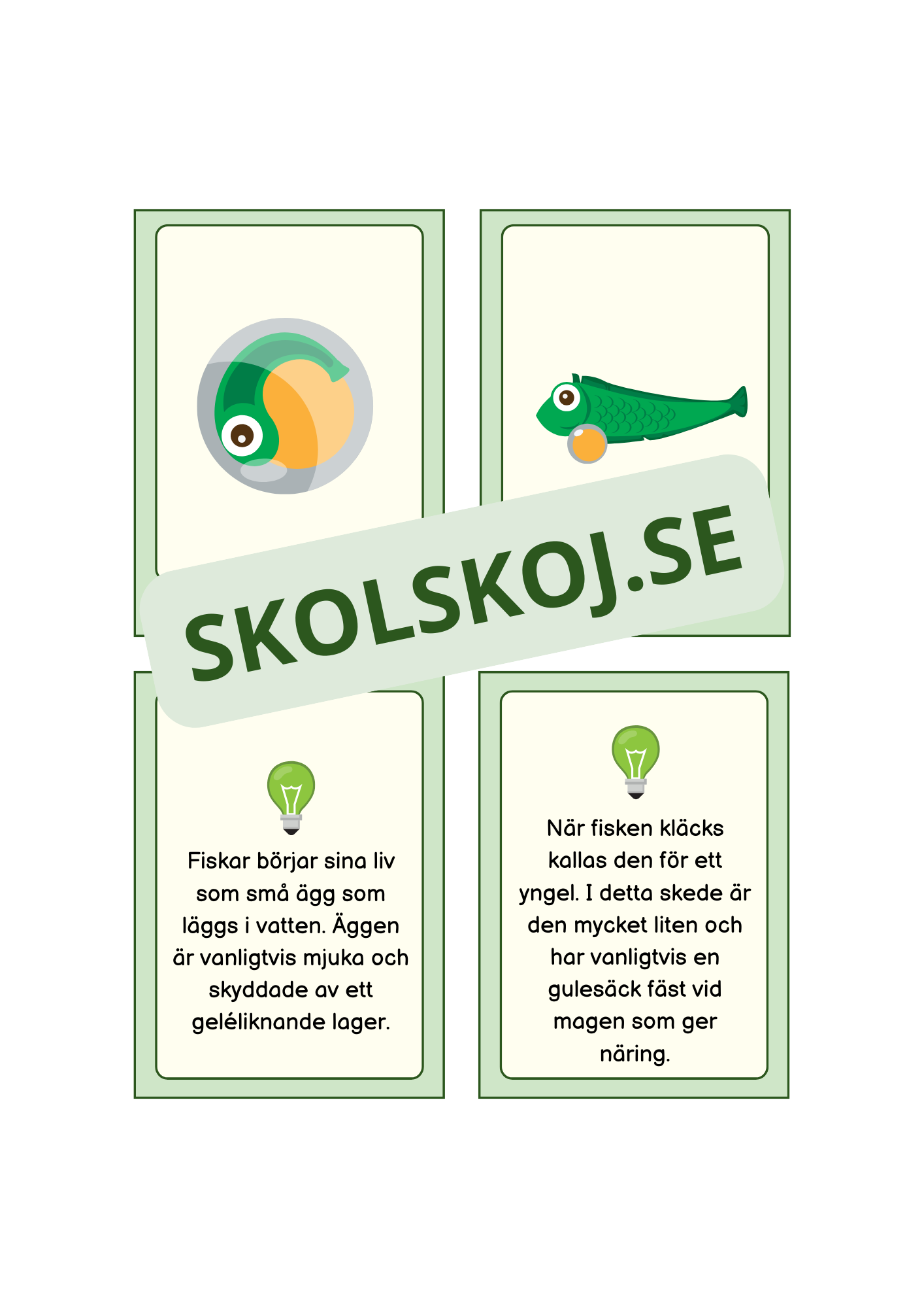 Fiskens livscykel och lite till
