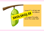 Fjärilens livscykel - Enkelt förklarat