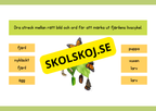 Fjärilens livscykel - Enkelt förklarat