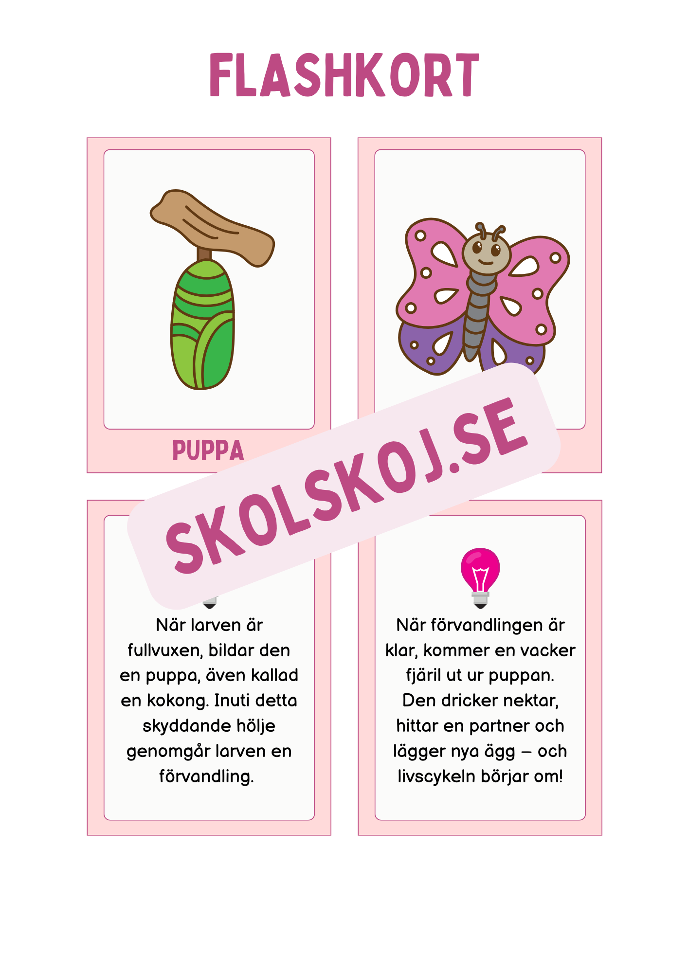 Fjärilens livscykel och lite till