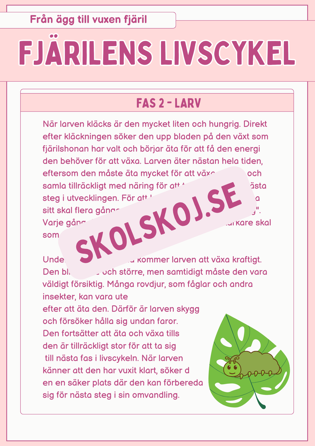 Fjärilens livscykel och lite till