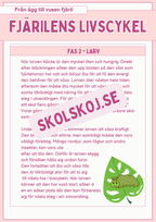 Fjärilens livscykel och lite till