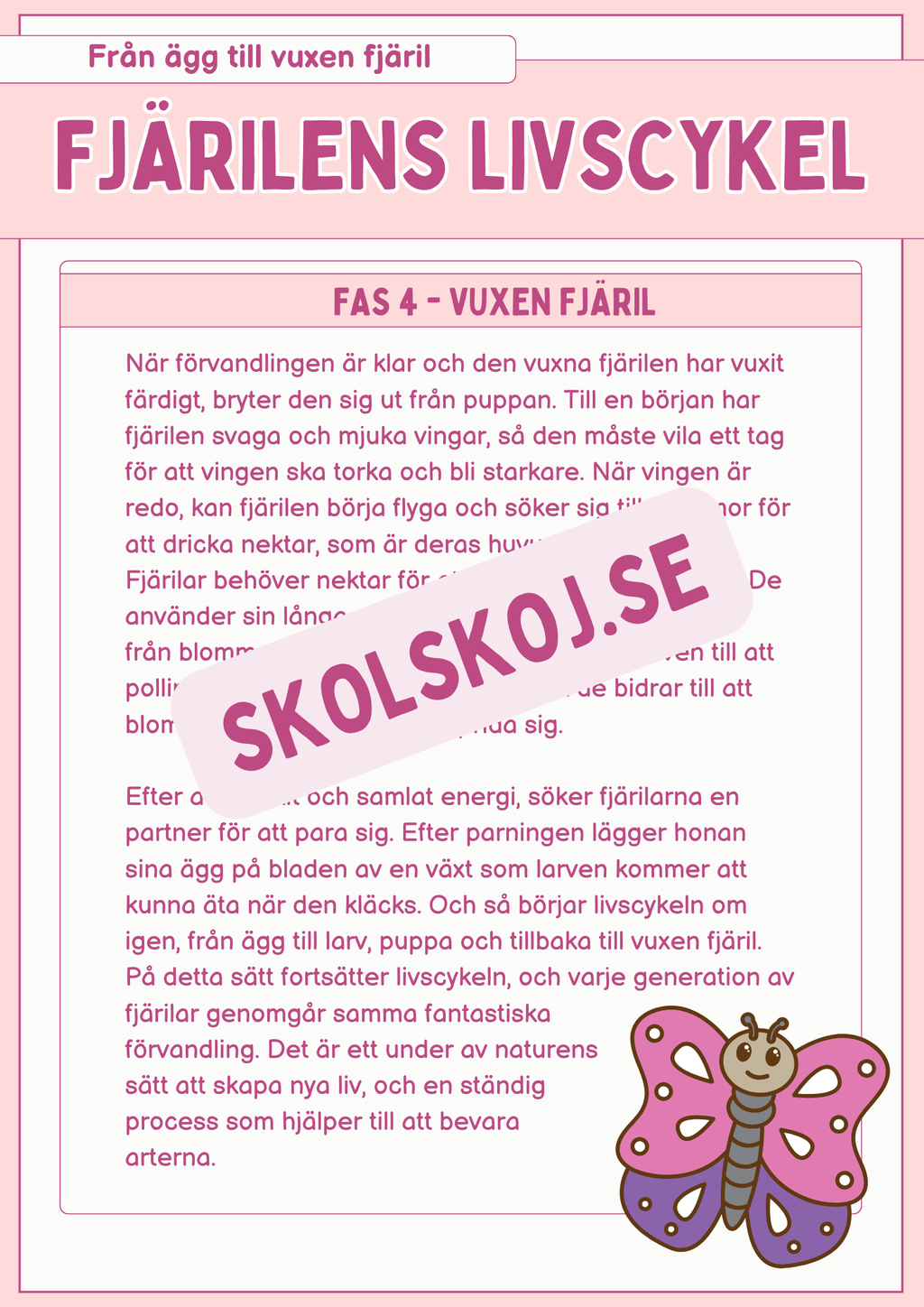 Fjärilens livscykel och lite till