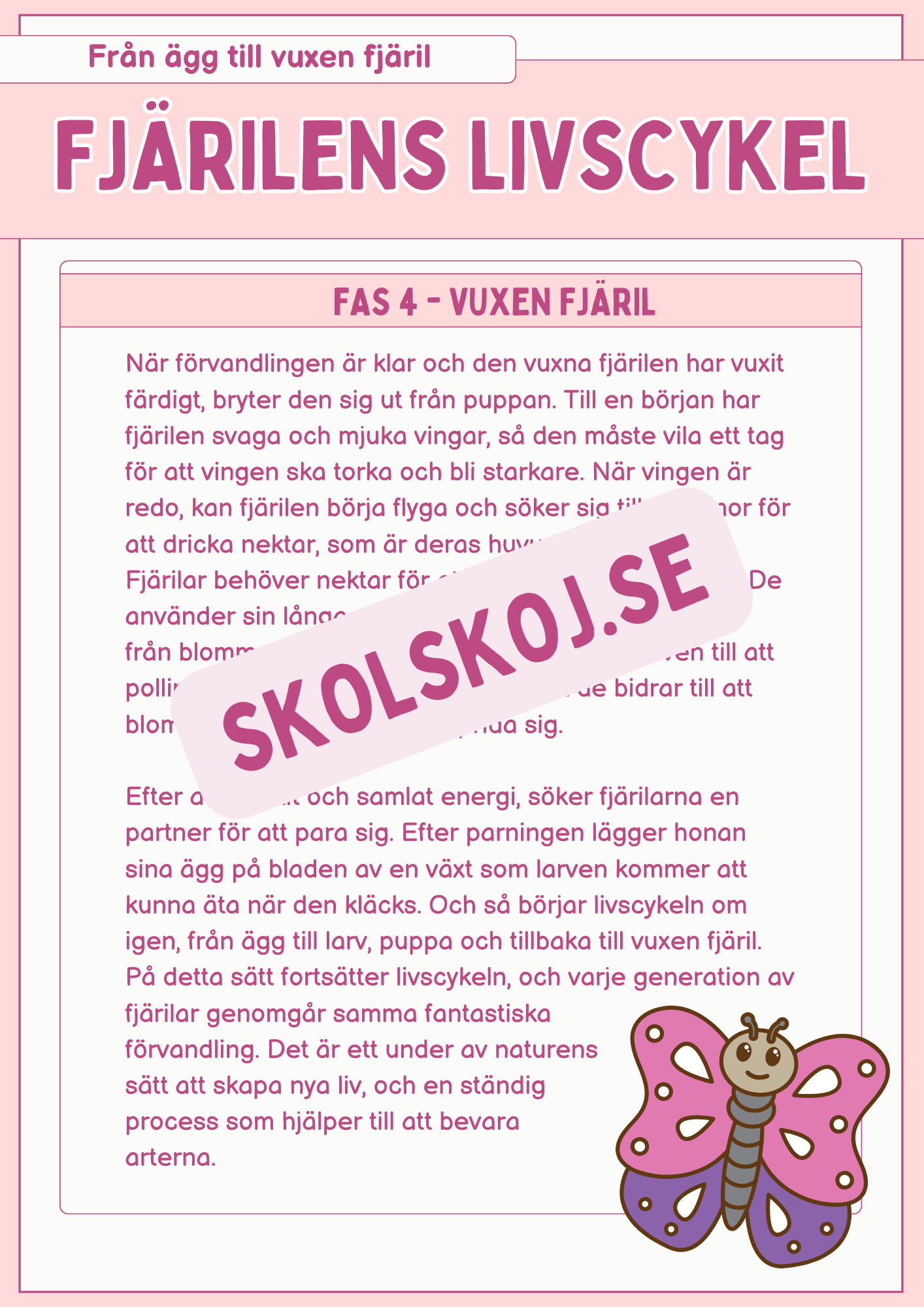 Fjärilens livscykel och lite till