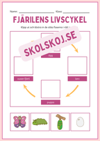 Fjärilens livscykel och lite till