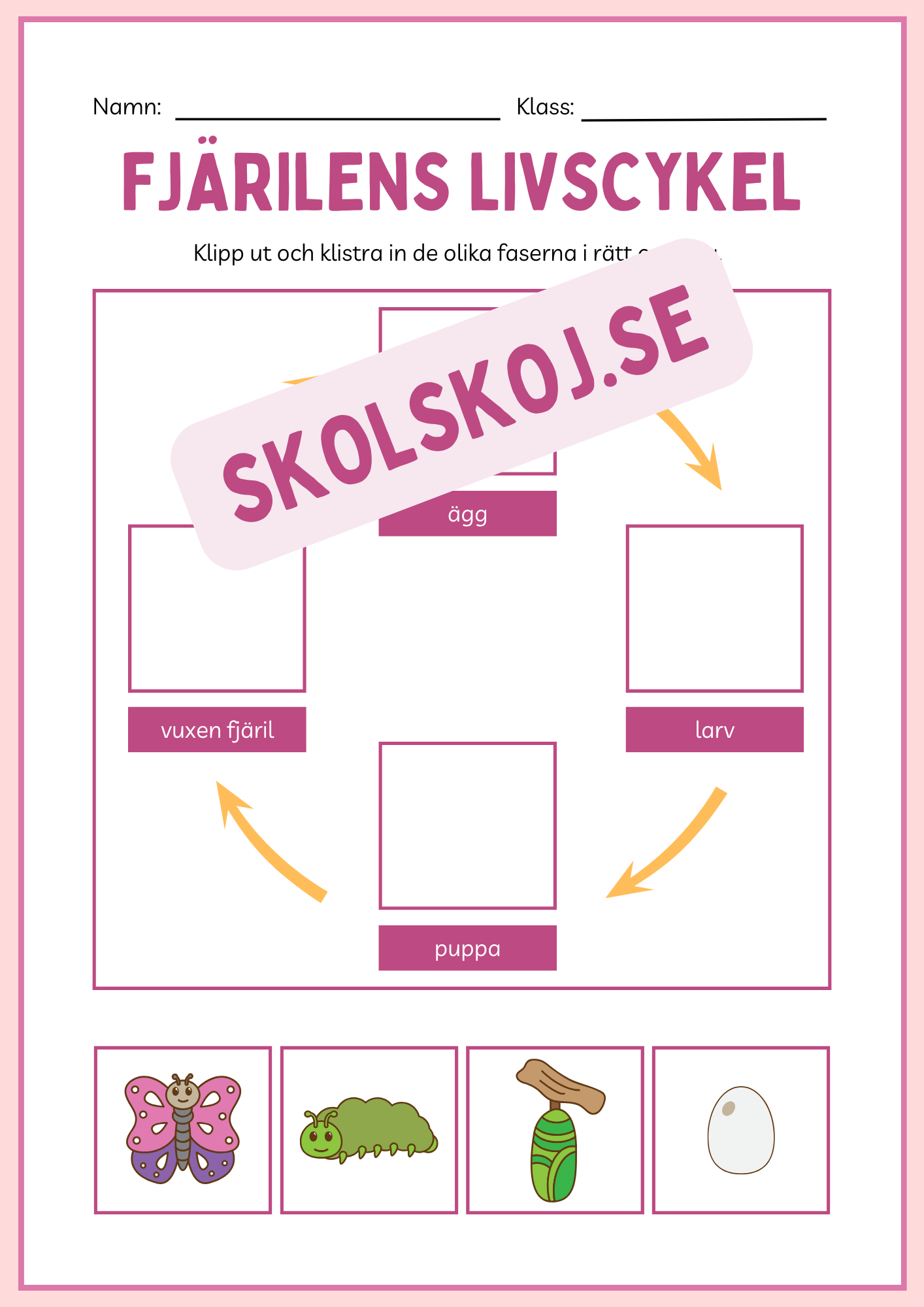 Fjärilens livscykel och lite till