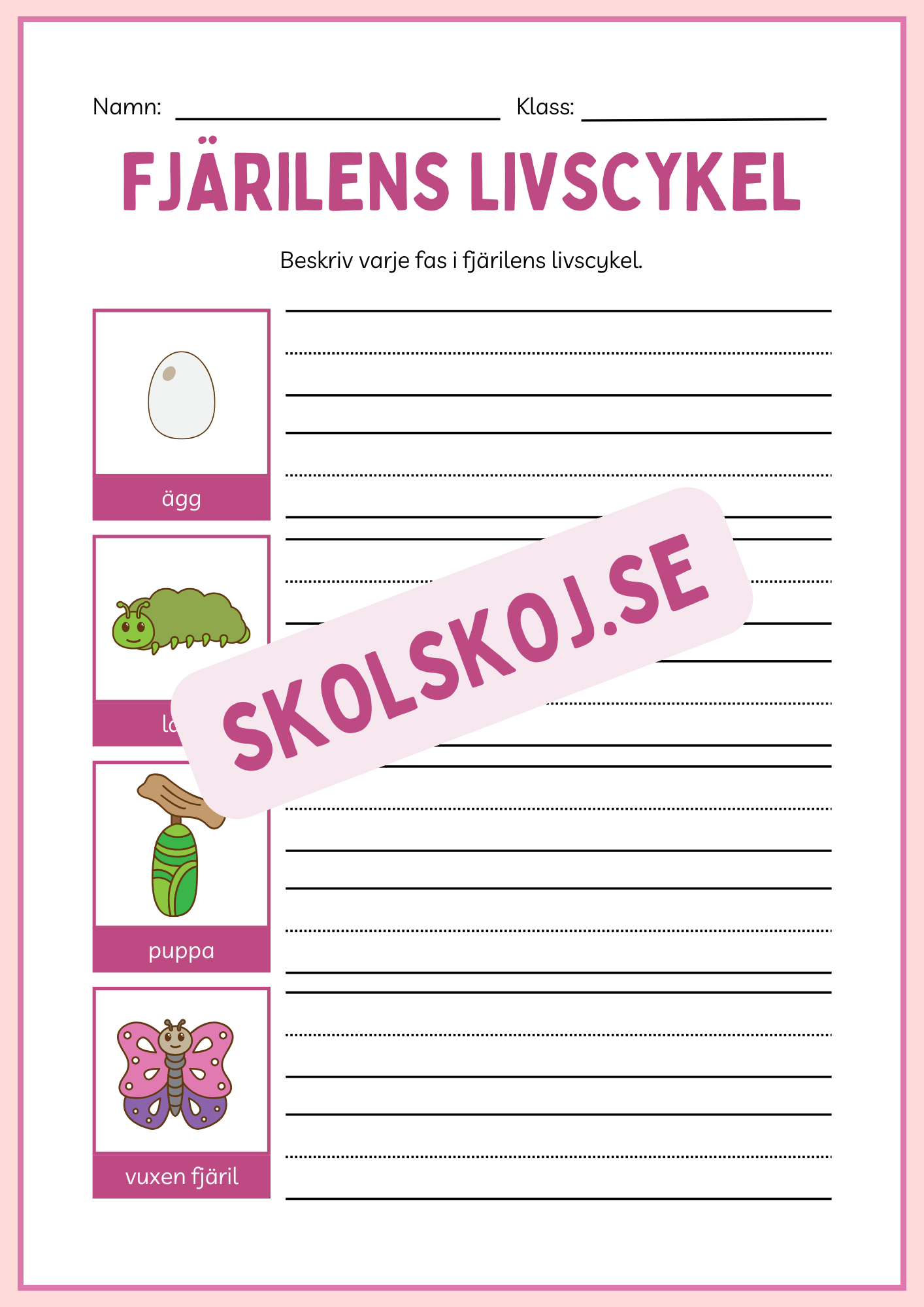 Fjärilens livscykel och lite till