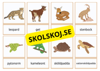 Flashkort - Vilda djur (40 kort)