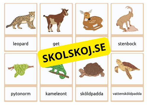 Flashkort - Vilda djur (40 kort)