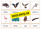 Flashkort - Vilda djur (40 kort)