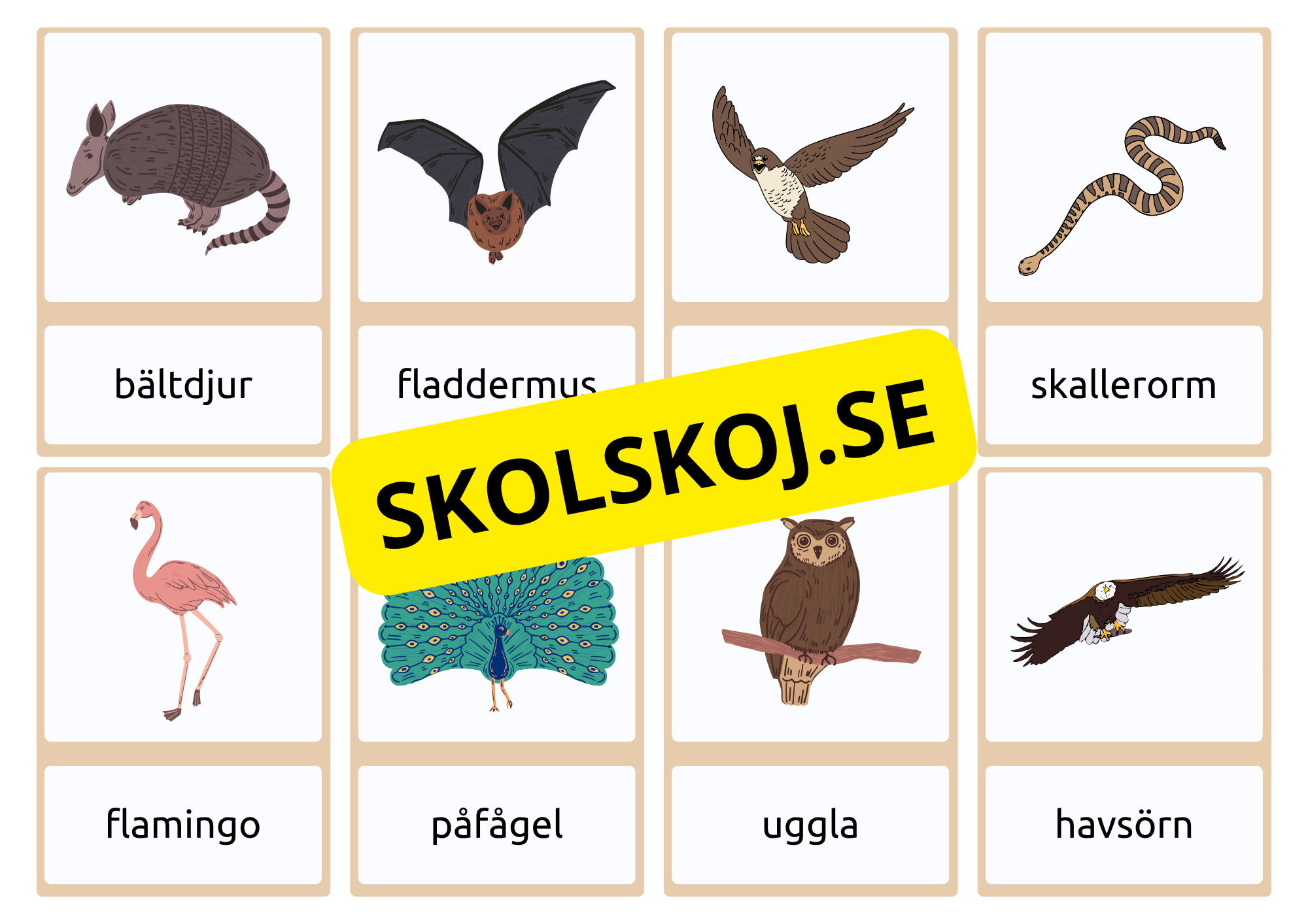 Flashkort - Vilda djur (40 kort)