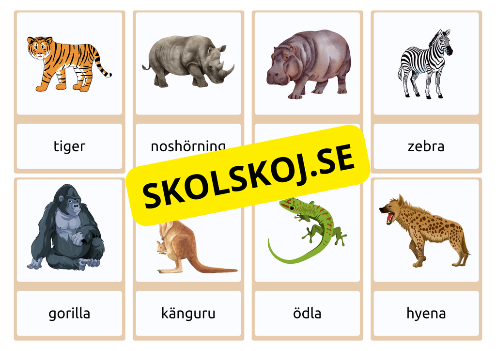 Flashkort - Vilda djur (40 kort)