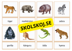 Flashkort - Vilda djur (40 kort)