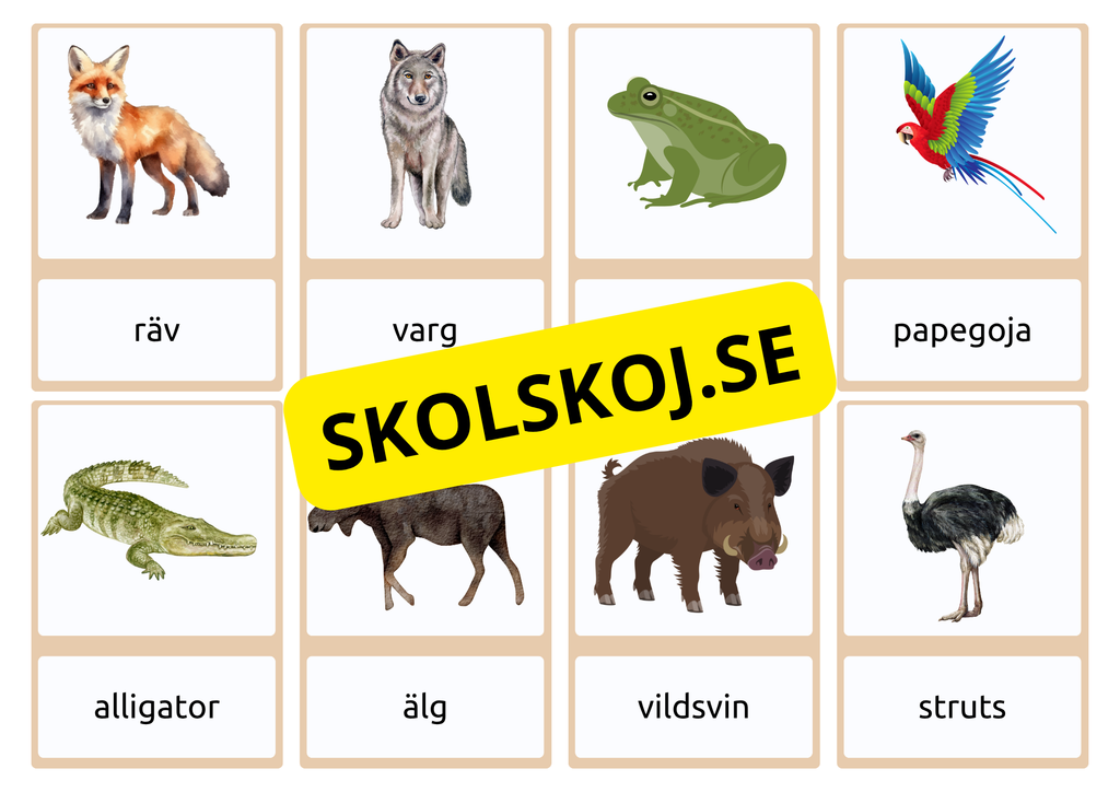 Flashkort - Vilda djur (40 kort)