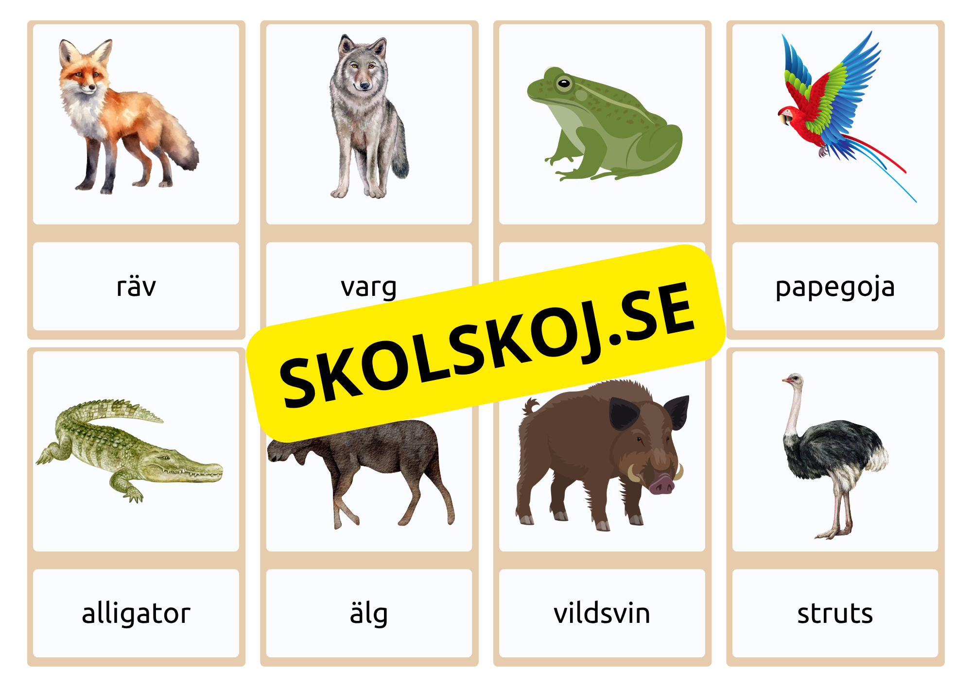 Flashkort - Vilda djur (40 kort)