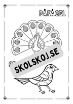 Flygande djur - Målarbok
