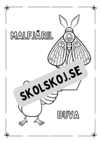 Flygande djur - Målarbok