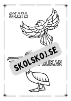 Flygande djur - Målarbok