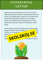 Fotosyntesens process