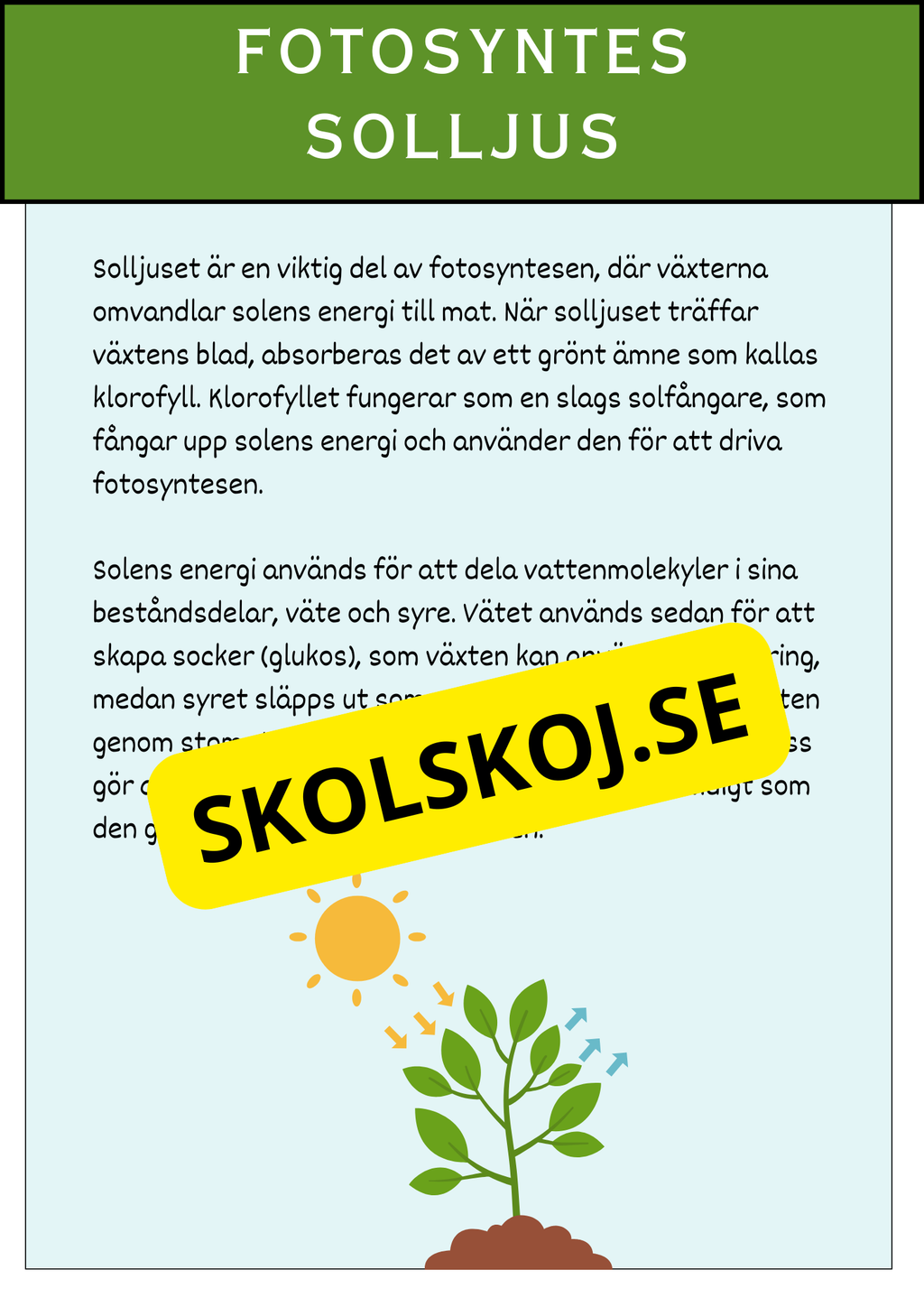 Fotosyntesens process